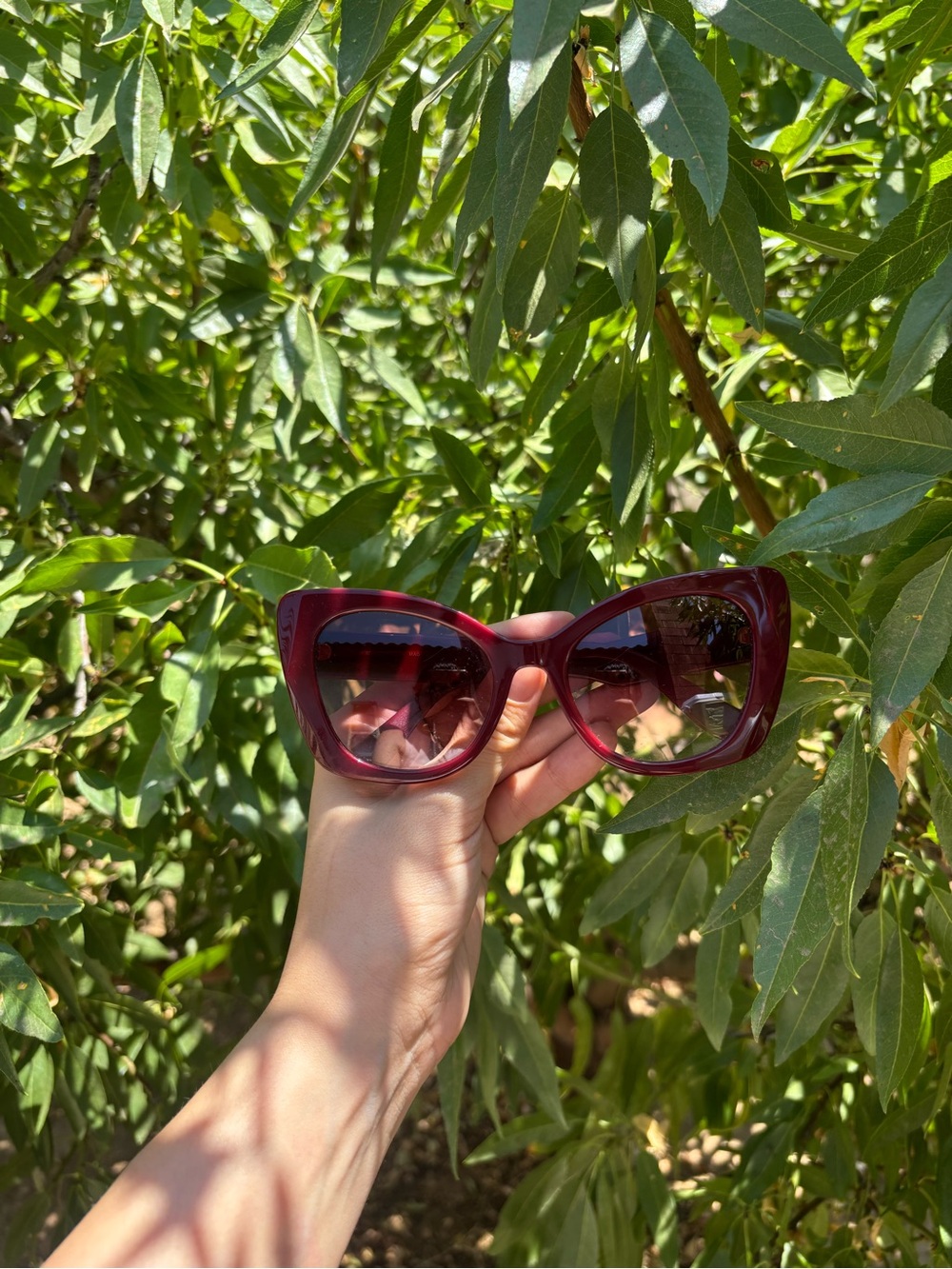 DOLCE GABBANA Burgundy Cat-Eye Sunglasses